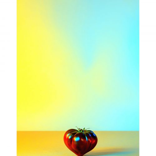 Dream tomato